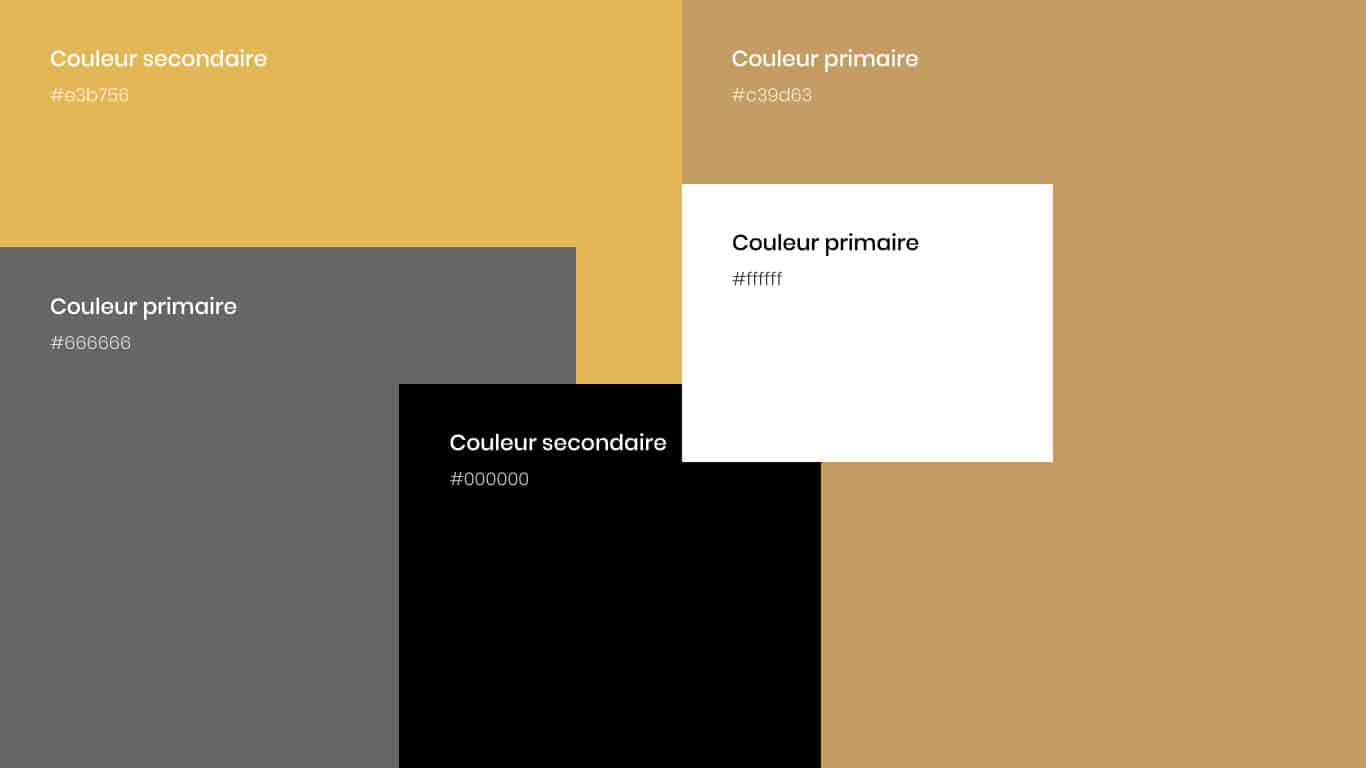 palette-couleur-site-Andiamo Pallette de couleurs Andiamo Osteria