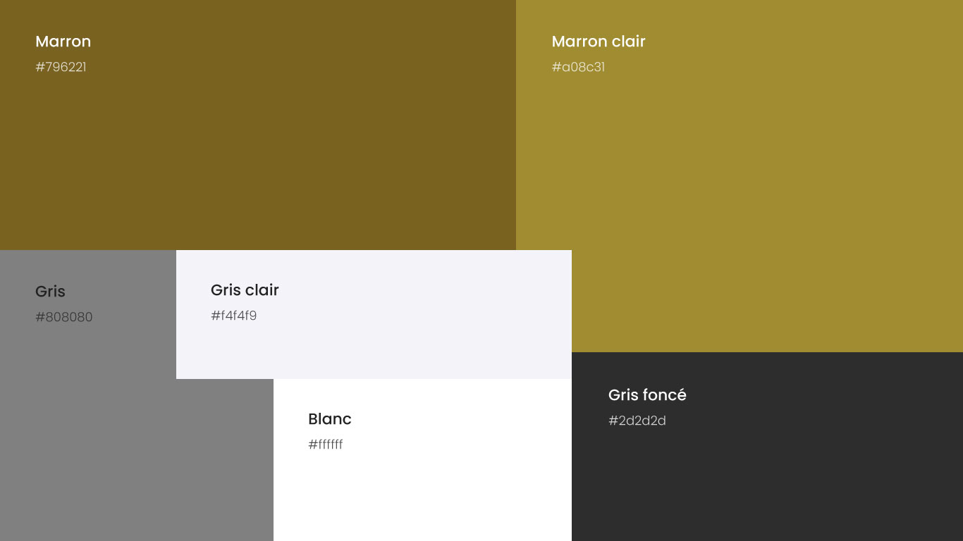 Palette couleurs Assetial - Portfolio Siclem
